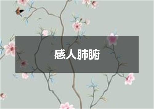 感人肺腑