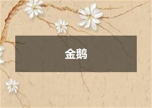 金鹅
