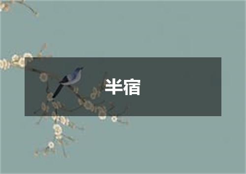 半宿