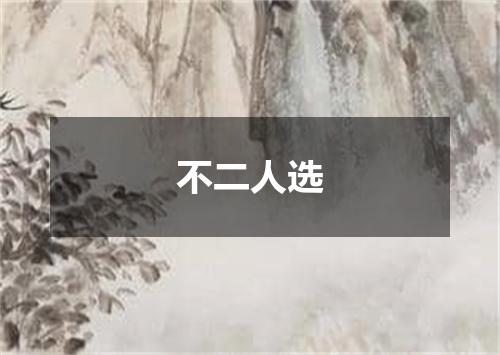 不二人选