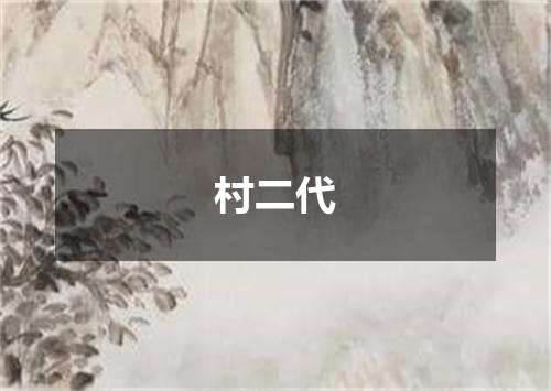 村二代