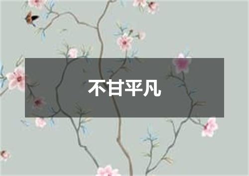 不甘平凡