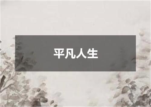 平凡人生