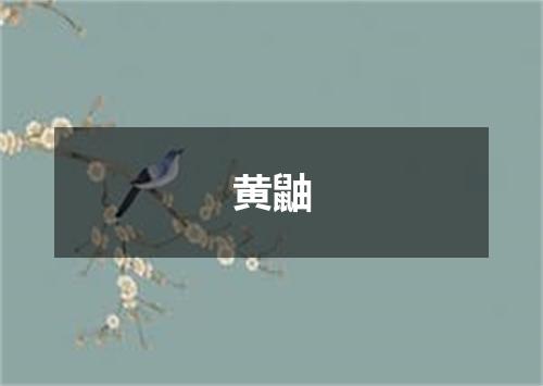 黄鼬