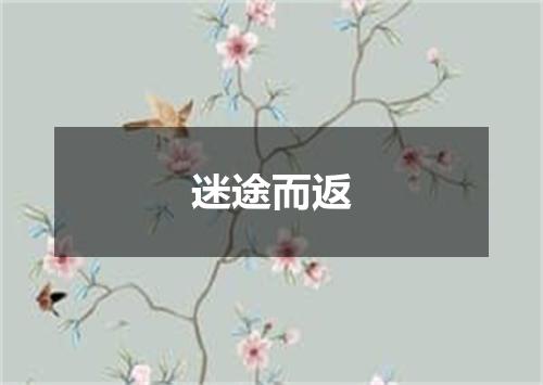 迷途而返