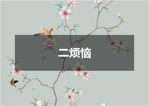 二烦恼