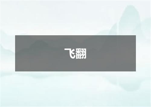 飞翻