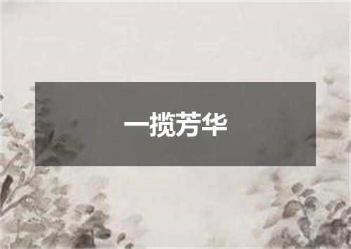 一揽芳华