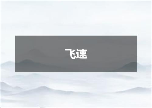 飞速