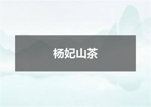 杨妃山茶