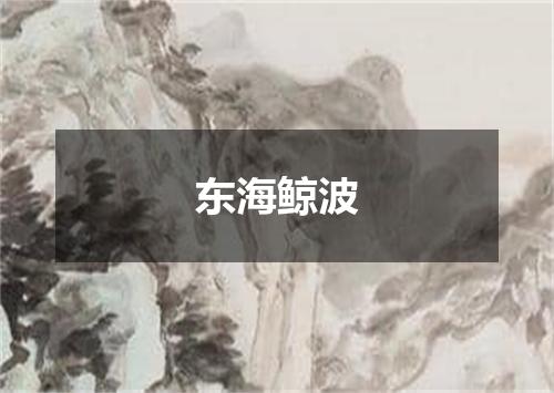 东海鲸波