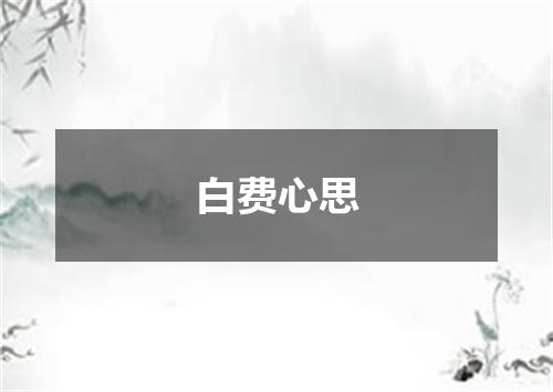 白费心思