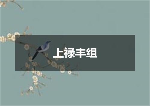上禄丰组