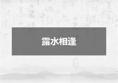 露水相逢