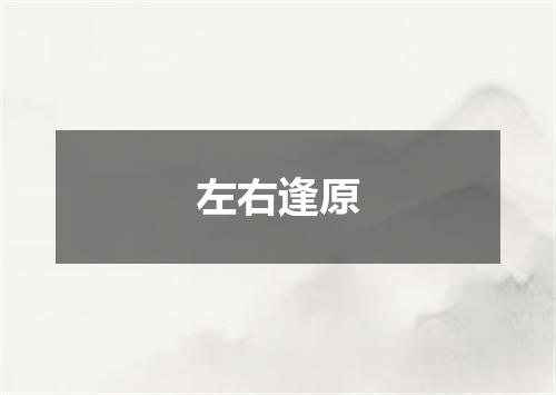 左右逢原