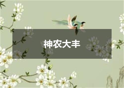 神农大丰