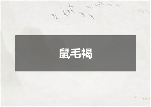 鼠毛褐