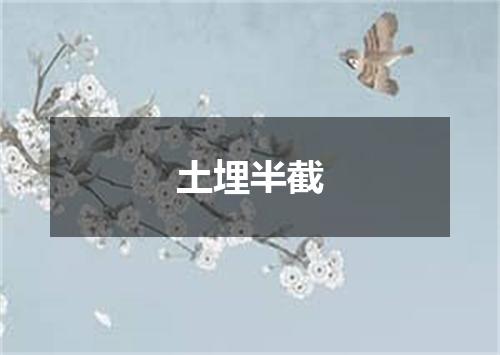 土埋半截