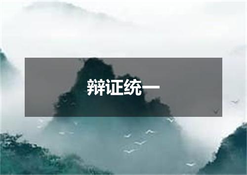 辩证统一