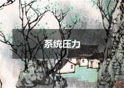 系统压力