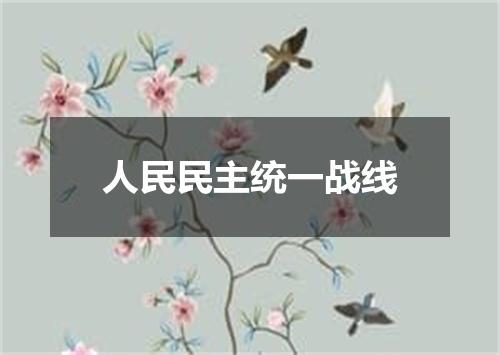 人民民主统一战线