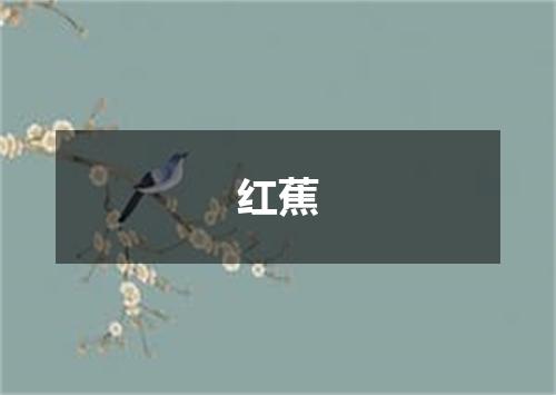 红蕉