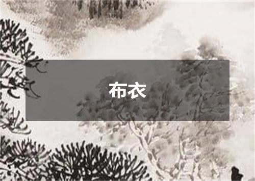 布衣