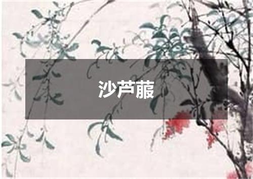 沙芦菔