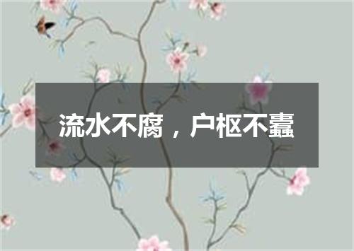 流水不腐，户枢不蠹