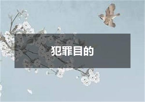 犯罪目的