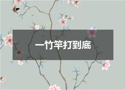 一竹竿打到底