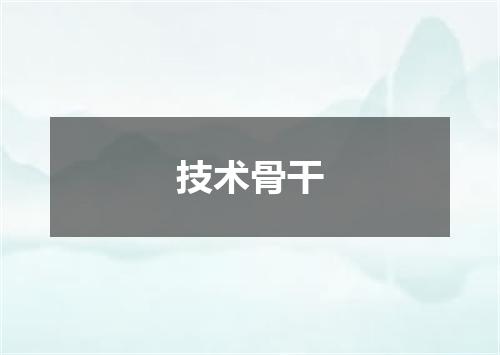 技术骨干
