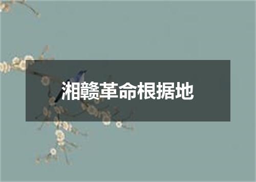 湘赣革命根据地