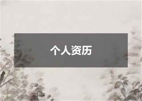 个人资历