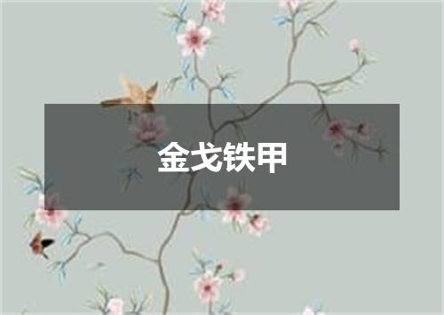 金戈铁甲