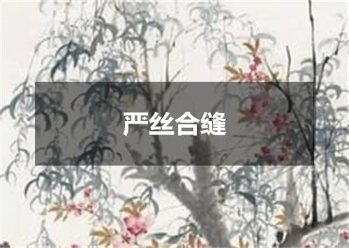 严丝合缝