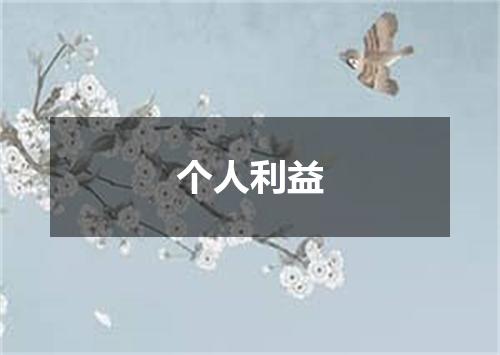 个人利益