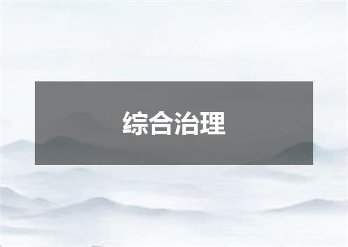综合治理