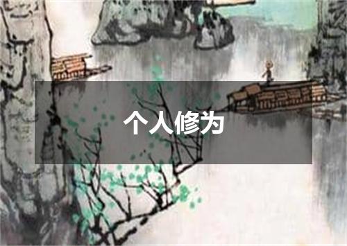 个人修为