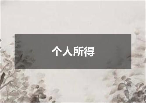 个人所得