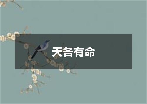 天各有命