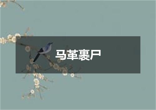 马革裹尸
