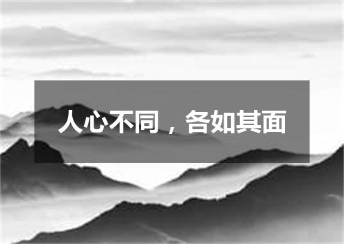 人心不同，各如其面