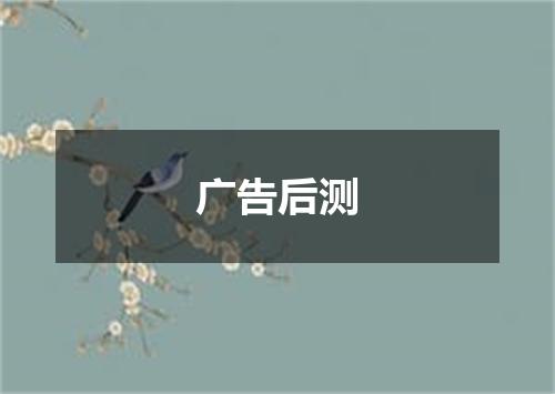 广告后测