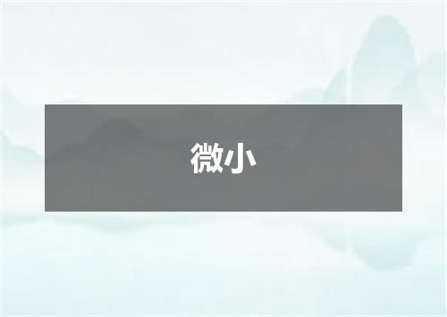 微小