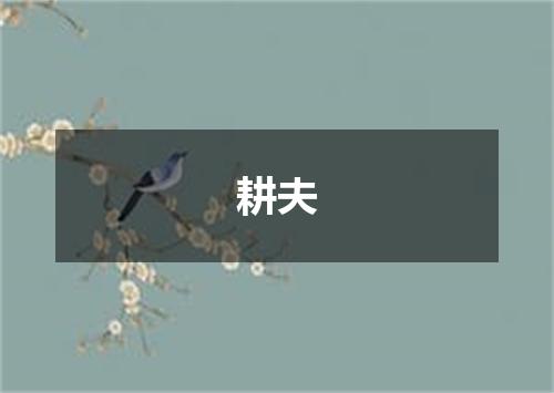 耕夫