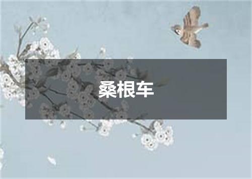 桑根车