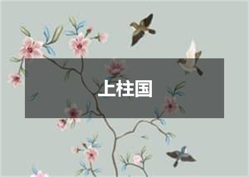 上柱国