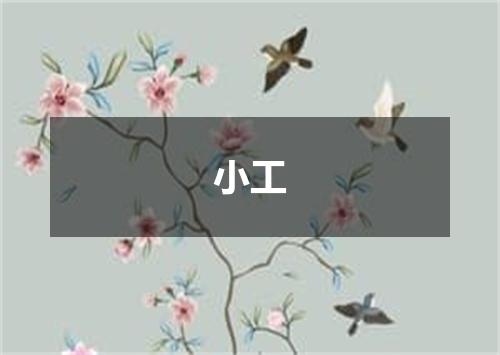 小工