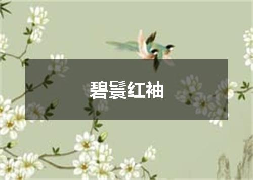 碧鬟红袖